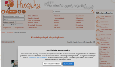 Hoxa - Kutyás Képeslapok