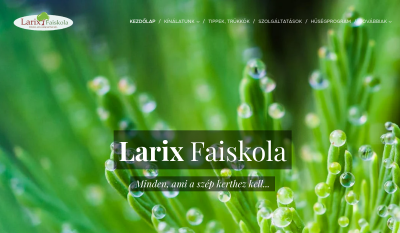 Nyékládháza - Larix Faiskola