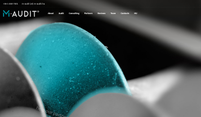 M-Audit Könyvvizsgáló, Fejlesztő és Szolgáltató Kft.