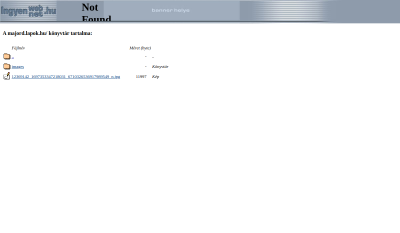 Major Dénes Könyvelő