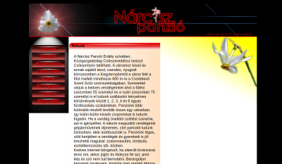 Csíksomlyó - Nárcisz Panzió