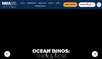 Anglia - National Marine Aquarium