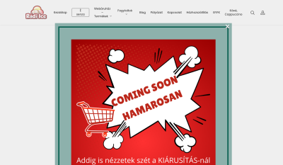 Radi Ice - Sütőipari Alapanyagok Kiegészítők