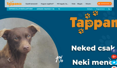 Szeged - Tappancs Alapítvány