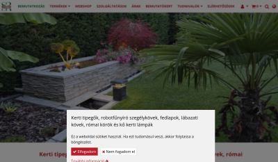 Térkő és Díszkő Rendszer 2100 Kft.