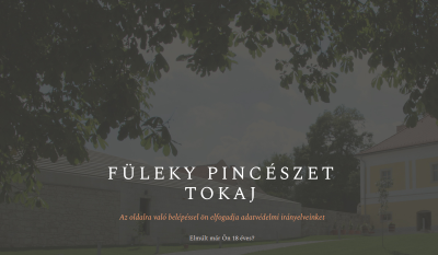 Tokaj - Füleky Pincészet