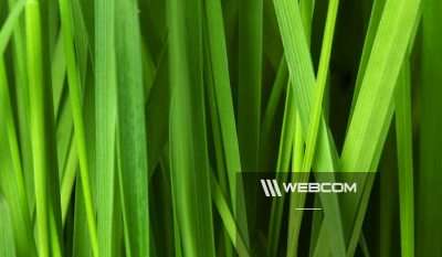 WebCom