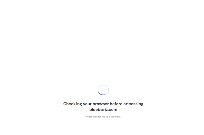Specialized website designed by Web Freelancers for blueberiz.com