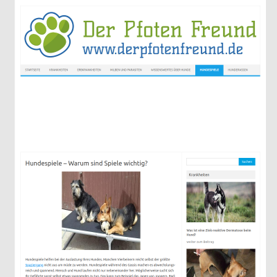 Hundespiele - Warum sind Spiele wichtig? - Der Pfoten Freund