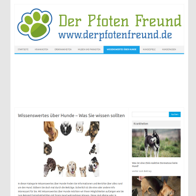 Wissenswertes über Hunde - Was Sie wissen sollten