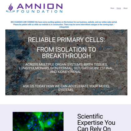 Amnion Foundation mobile view