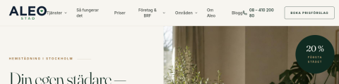 Förhandsvisning av webbplatsen aleostad.se – hemsida byggd av Techgruppen