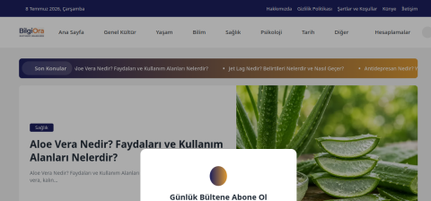 bilgiora.com önizleme
