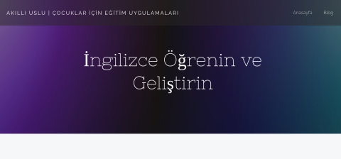 akilliuslu.com önizleme