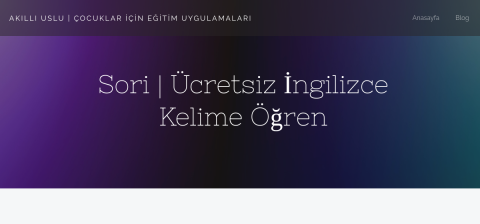 akilliuslu.com önizleme