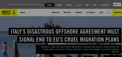 amnesty.org önizleme