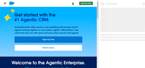 salesforce.com önizleme