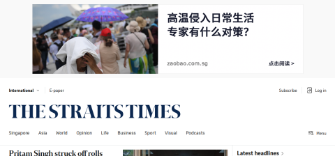 straitstimes.com önizleme