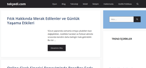 tekyedi.com önizleme