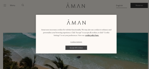 www.aman.com önizleme