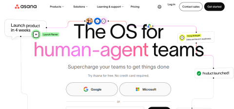 www.asana.com önizleme