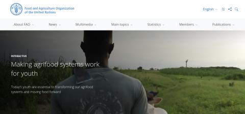 www.fao.org önizleme