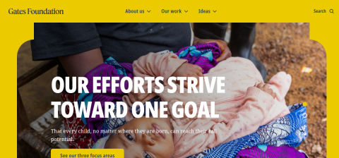 www.gatesfoundation.org önizleme