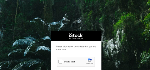 www.istockphoto.com önizleme