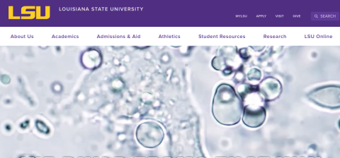 www.lsu.edu önizleme