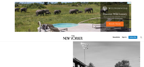 www.newyorker.com önizleme