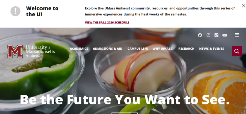 www.umass.edu önizleme