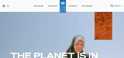 www.undp.org önizleme