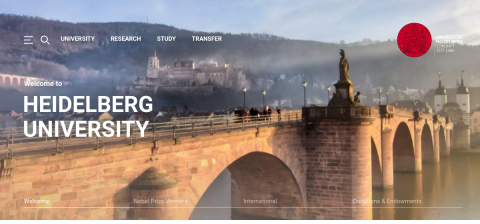 www.uni-heidelberg.de önizleme