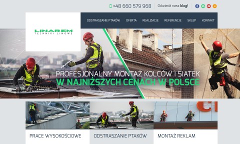 Skuteczne metody odstraszania ptaków