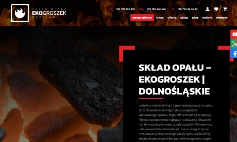 Najlepszy ekogroszek workowany