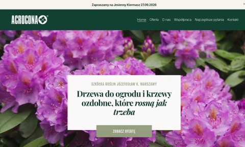 Krzewy ozdobne