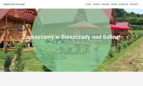Domki nad Soliną
