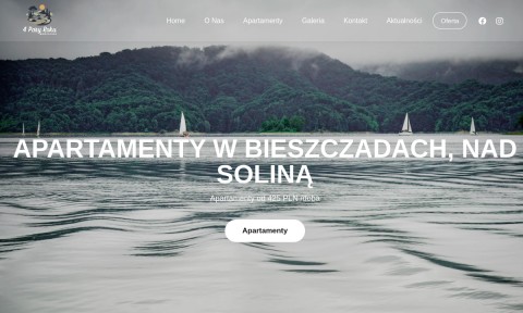 Domki nad Soliną