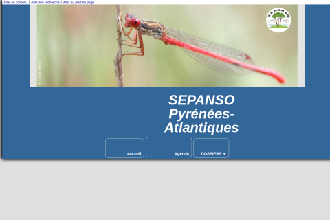 vignette du site