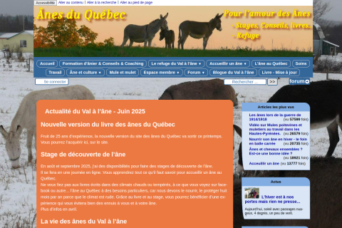 vignette du site