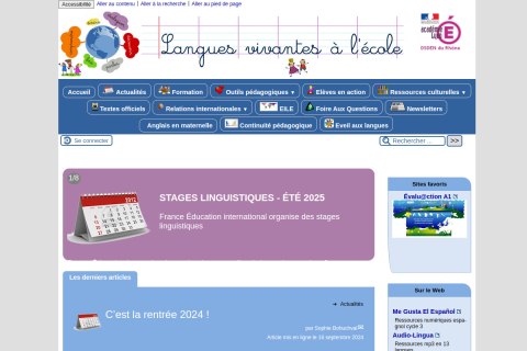 vignette du site