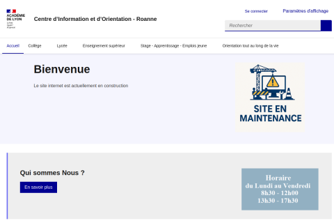 vignette du site