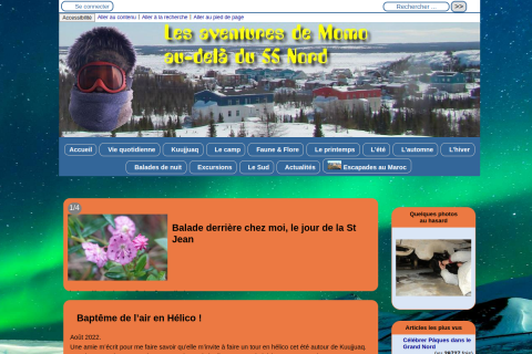 vignette du site