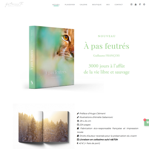 Aperçu du site Guillaume François