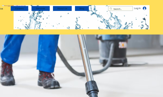 Preview thumbnail of LMNS Services cleaning company website