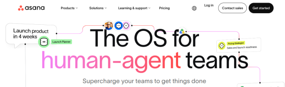 Asana screenshot