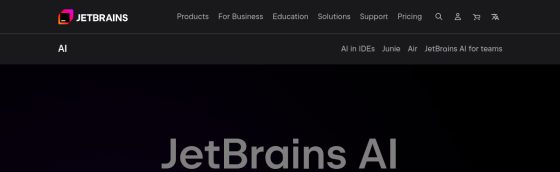 JetBrains AI screenshot