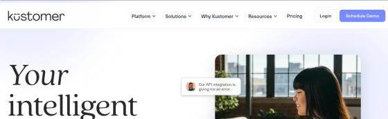 Kustomer IQ screenshot