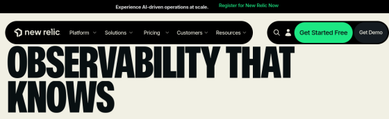 New Relic screenshot