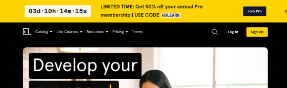 Codecademy screenshot